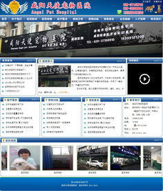 咸陽(yáng)天使寵物醫(yī)院攜手萬(wàn)企互聯(lián) 專業(yè)數(shù)字營(yíng)銷與動(dòng)漫設(shè)計(jì)賦能品牌新生態(tài)